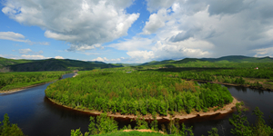 白鹿岛